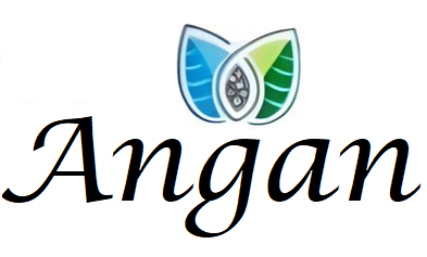 Angan